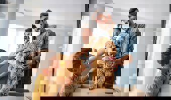 How A Home & Pet Insurance Will Help You Protect Your Home (& Furry Friends)! - Gargash Insurance