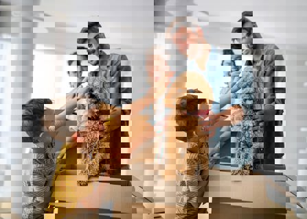 How A Home & Pet Insurance Will Help You Protect Your Home (& Furry Friends)! - Gargash Insurance