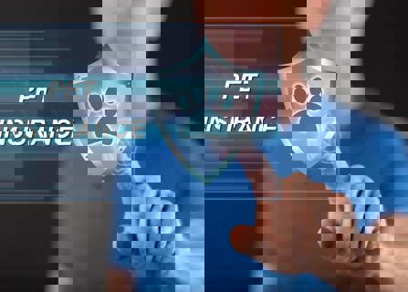 Choosing the right pet insurance plan- pet insurance brokers- Gargash Insurance- UAE