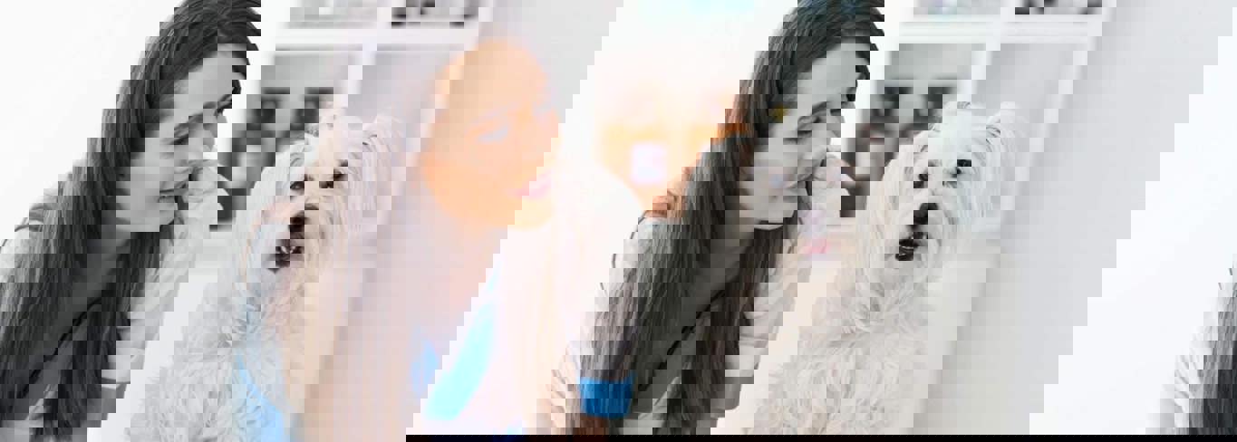 How to submit pet insurance claim- pet insurance brokers- Gargash Insurance- UAE How to submit pet insurance claim- pet insurance brokers- Gargash Insurance- UAE