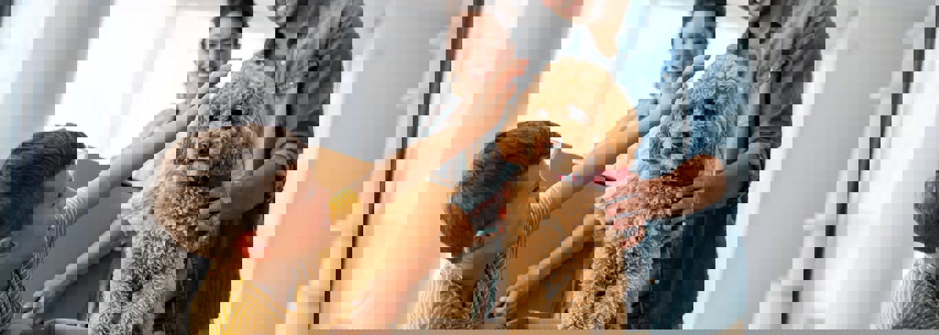 How A Home & Pet Insurance Will Help You Protect Your Home (& Furry Friends)! - Gargash Insurance How A Home & Pet Insurance Will Help You Protect Your Home (& Furry Friends)! - Gargash Insurance