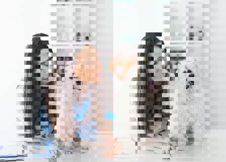 How to submit pet insurance claim- pet insurance brokers- Gargash Insurance- UAE